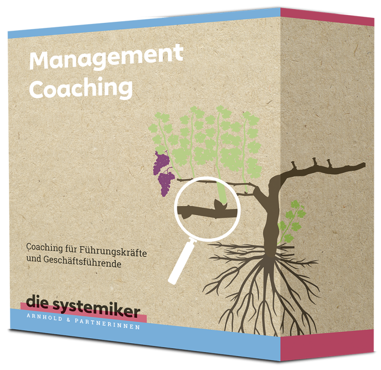 Management Coaching Münster