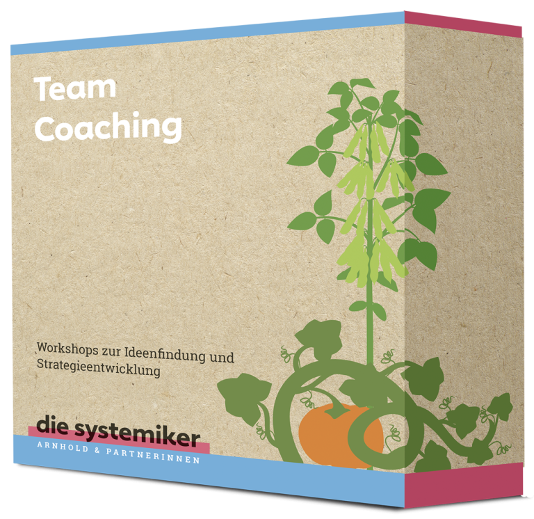 Team Coaching Münster